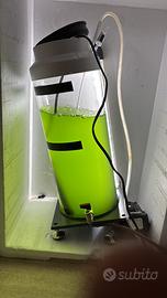 Vendita fitoplacton vivo