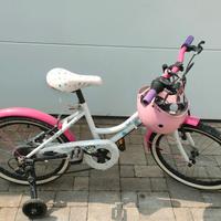 Bicicletta violetta da 20