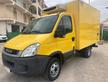 Iveco Daily 35c12 e 35c13 frigo o a telaio passo 3