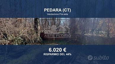 Immobile in asta di 5642 m² a Pedara