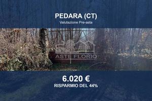 Immobile in asta di 5642 m² a Pedara