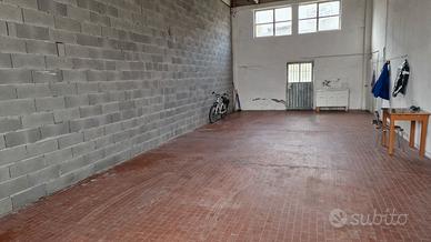 Capanone / zona garage