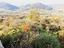 Immagine 24