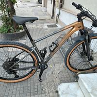 giant 29