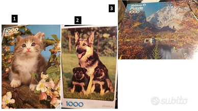 Puzzle 1000 pezzi