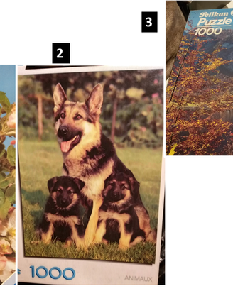 Puzzle 1000 pezzi