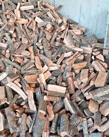 Legna da ardere quercia