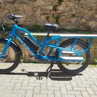Cargo Bike Yo Yo 