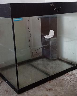 acquario