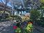 Immagine 26