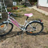 Bicicletta lombardo.