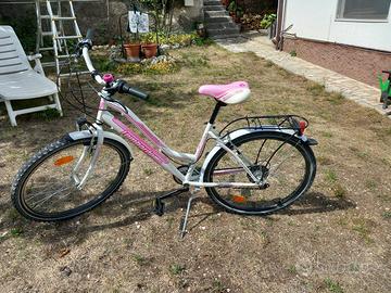 Bicicletta lombardo.