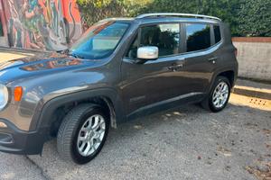 Jeep renegade 2017
