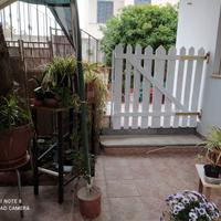 Cabras PenisolaSinis ISArutas PT giardino Agosto