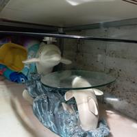 tavolino da salotto con delfini 