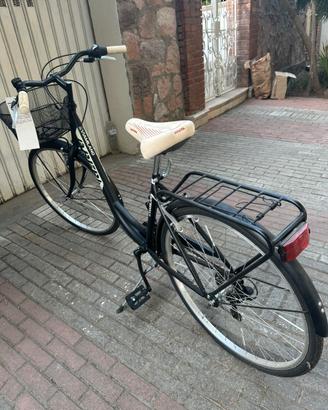 Bicicletta da passeggio