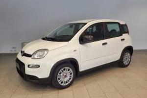 FIAT Panda 1.0 FireFly S&S Hybrid x Neopatenteti