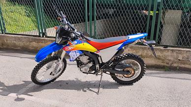 Yamaha WR 250 R