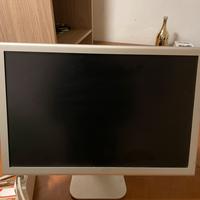SCHERMO MAC leggere bene