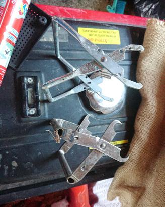 pinze per telaini apicoltura 