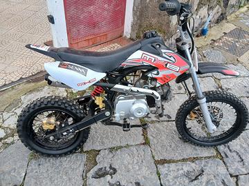 pit bike 110 automatico 