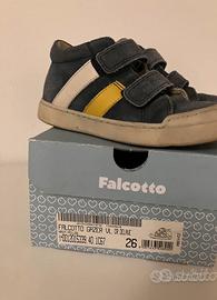 Falcotto Gazer  vl