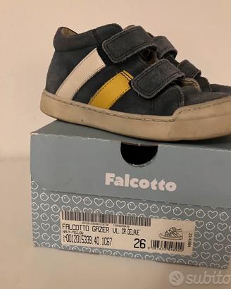 Falcotto Gazer  vl