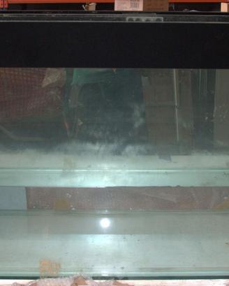 acquario