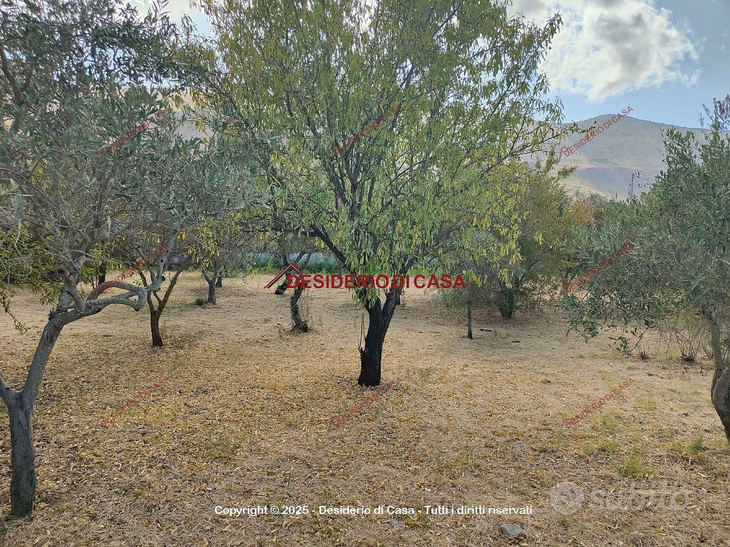 Terreno, Centro di Villagrazia, Carini. - Altro