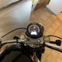 Triumph SpeedMaster - 2024
