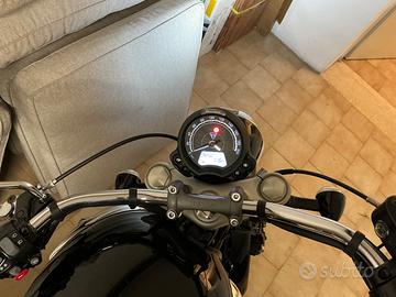 Triumph SpeedMaster - 2024