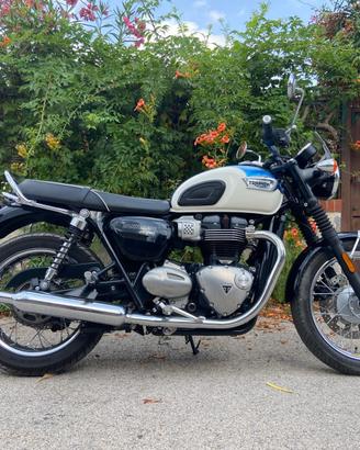 Triumph Boneville T100