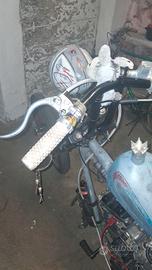 chopper su base  sportster 1200