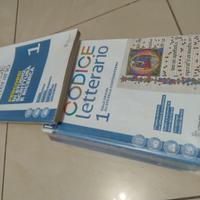 Codice letterario 1