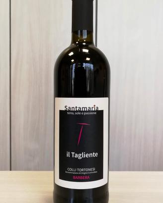 Bottiglie vino Colli Tortonesi DOC Barbera