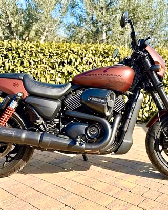 Harley Davidson Street Rod 750 Anno 2019