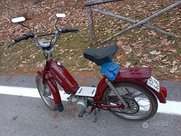 ciclomotore Testi 