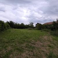 Terreno edificabile - Caprarola