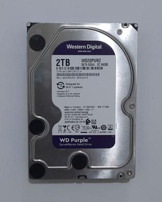 HD 3.5 pollici Western Digital 2TB Serie PURPLE