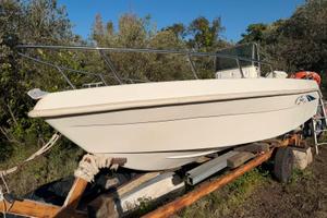 Barca Open Saver 495 con motore 40 HP Johnson