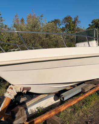 Barca Open Saver 495 con motore 40 HP Johnson