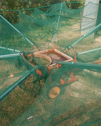 Ombrello raccolta olive