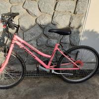 bicicletta mtb bambina rosa