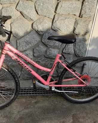 bicicletta mtb bambina rosa