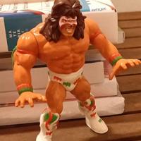 WWF Hasbro-Gig
