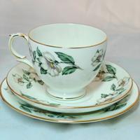 trio te Staffordshire