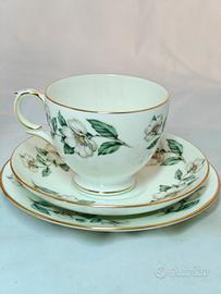 trio te Staffordshire