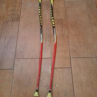 Bastoncini da gara e parastinchi da sci