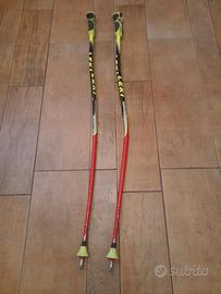 Bastoncini da gara e parastinchi da sci
