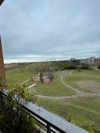 Appartamento viale città d'Europa,torrino nord